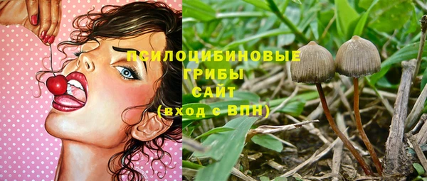mdpv Няндома